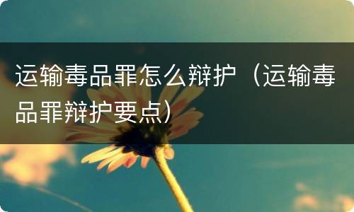 运输毒品罪怎么辩护（运输毒品罪辩护要点）