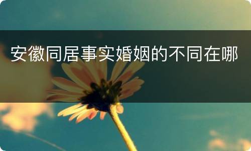 安徽同居事实婚姻的不同在哪