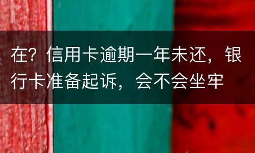 在？信用卡逾期一年未还，银行卡准备起诉，会不会坐牢