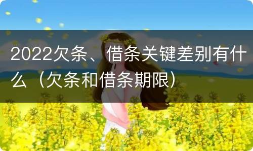 2022欠条、借条关键差别有什么（欠条和借条期限）