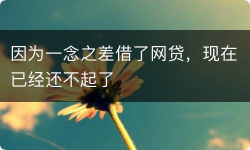因为一念之差借了网贷，现在已经还不起了