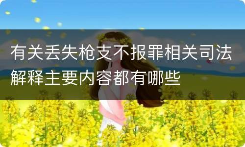 有关丢失枪支不报罪相关司法解释主要内容都有哪些