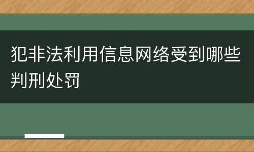 犯非法利用信息网络受到哪些判刑处罚
