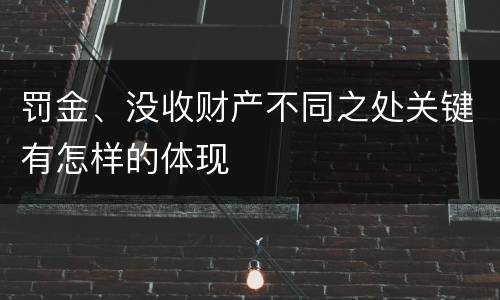 罚金、没收财产不同之处关键有怎样的体现