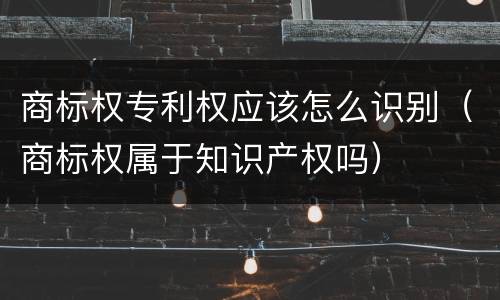 商标权专利权应该怎么识别（商标权属于知识产权吗）