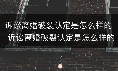 诉讼离婚破裂认定是怎么样的 诉讼离婚破裂认定是怎么样的案件
