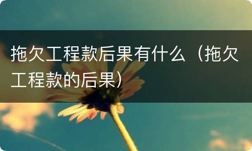 拖欠工程款后果有什么（拖欠工程款的后果）