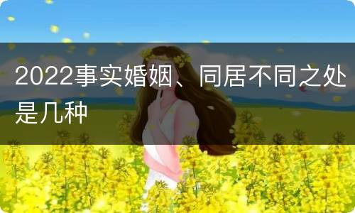 2022事实婚姻、同居不同之处是几种
