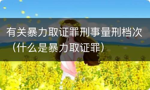 有关暴力取证罪刑事量刑档次（什么是暴力取证罪）