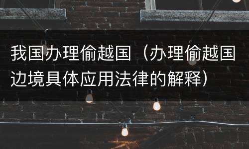 我国办理偷越国（办理偷越国边境具体应用法律的解释）