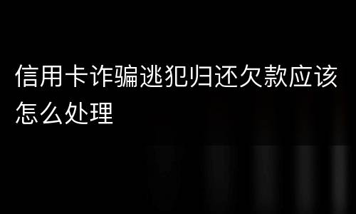 信用卡诈骗逃犯归还欠款应该怎么处理