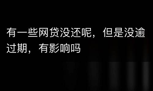 有一些网贷没还呢，但是没逾过期，有影响吗