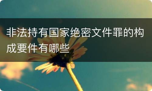 非法持有国家绝密文件罪的构成要件有哪些