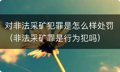 对非法采矿犯罪是怎么样处罚（非法采矿罪是行为犯吗）