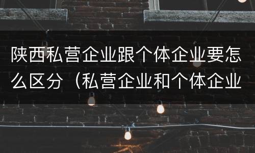 陕西私营企业跟个体企业要怎么区分（私营企业和个体企业的区别）