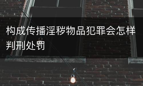 构成传播淫秽物品犯罪会怎样判刑处罚