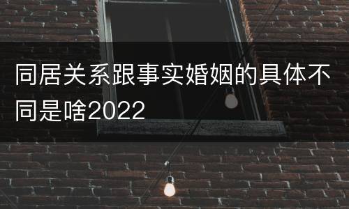 同居关系跟事实婚姻的具体不同是啥2022