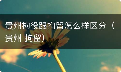 贵州拘役跟拘留怎么样区分（贵州 拘留）