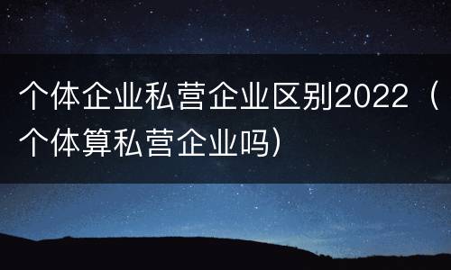 个体企业私营企业区别2022（个体算私营企业吗）