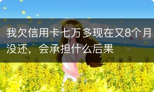 我欠信用卡七万多现在又8个月没还，会承担什么后果