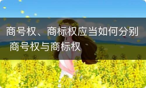 商号权、商标权应当如何分别 商号权与商标权