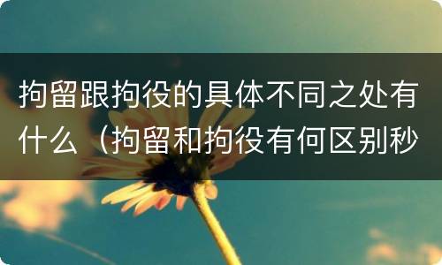 拘留跟拘役的具体不同之处有什么（拘留和拘役有何区别秒懂百科）