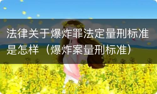 法律关于爆炸罪法定量刑标准是怎样（爆炸案量刑标准）