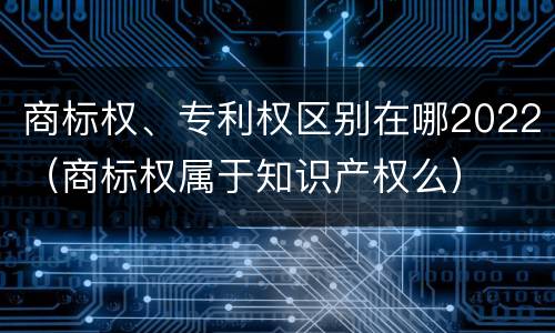 商标权、专利权区别在哪2022（商标权属于知识产权么）