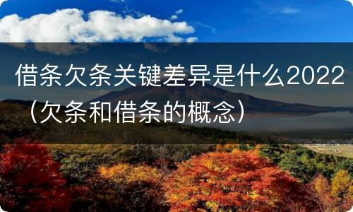 借条欠条关键差异是什么2022（欠条和借条的概念）