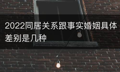2022同居关系跟事实婚姻具体差别是几种