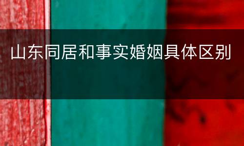 山东同居和事实婚姻具体区别