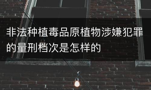 非法种植毒品原植物涉嫌犯罪的量刑档次是怎样的