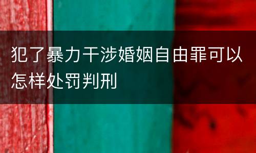 犯了暴力干涉婚姻自由罪可以怎样处罚判刑