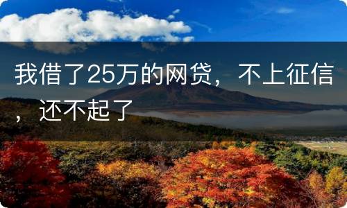 我借了25万的网贷，不上征信，还不起了