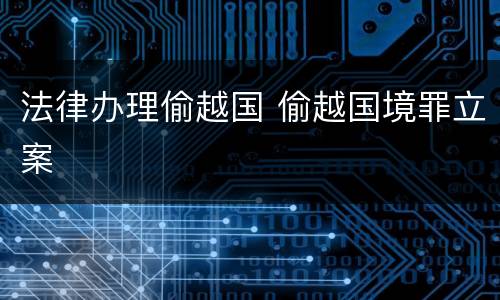 法律办理偷越国 偷越国境罪立案
