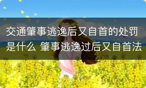 交通肇事逃逸后又自首的处罚是什么 肇事逃逸过后又自首法律怎么判