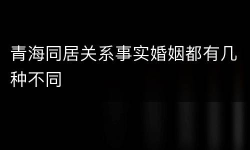 青海同居关系事实婚姻都有几种不同