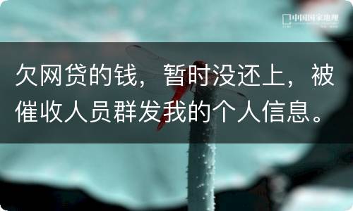 欠网贷的钱，暂时没还上，被催收人员群发我的个人信息。请问他们可以这样做不