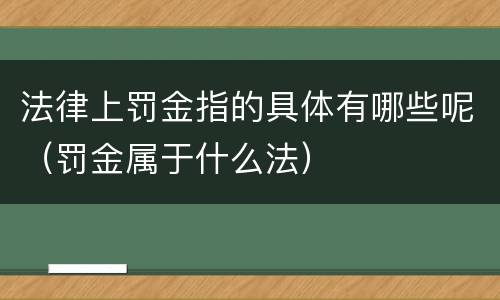 法律上罚金指的具体有哪些呢（罚金属于什么法）