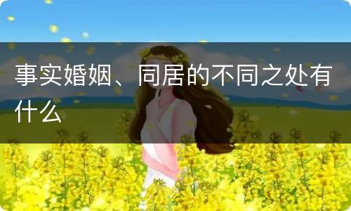 事实婚姻、同居的不同之处有什么