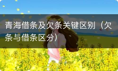 青海借条及欠条关键区别（欠条与借条区分）