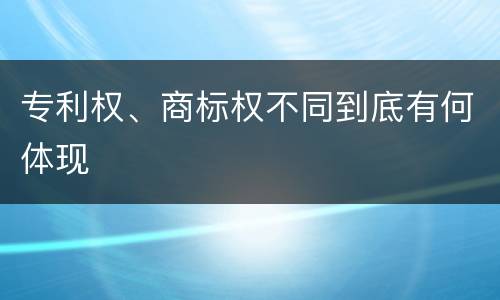 专利权、商标权不同到底有何体现