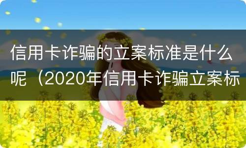 信用卡诈骗的立案标准是什么呢（2020年信用卡诈骗立案标准）