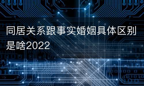 同居关系跟事实婚姻具体区别是啥2022