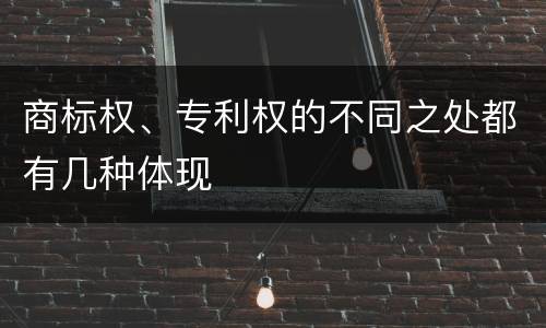 商标权、专利权的不同之处都有几种体现