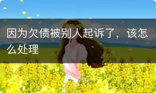 因为欠债被别人起诉了，该怎么处理