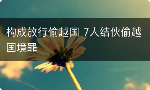 构成放行偷越国 7人结伙偷越国境罪