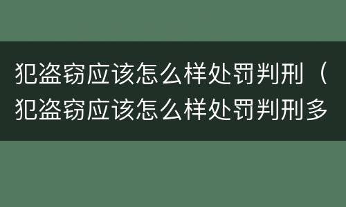 犯盗窃应该怎么样处罚判刑（犯盗窃应该怎么样处罚判刑多少年）