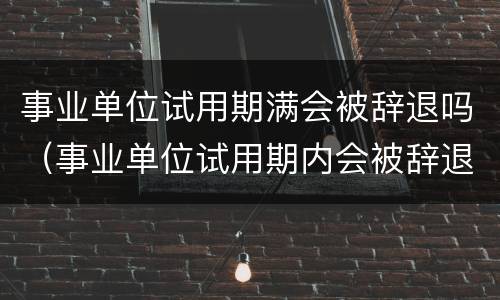 事业单位试用期满会被辞退吗（事业单位试用期内会被辞退吗）