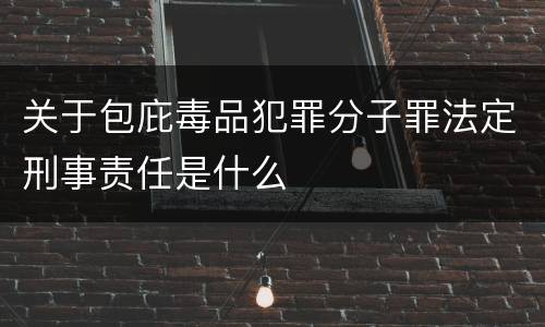 关于包庇毒品犯罪分子罪法定刑事责任是什么